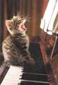 minou